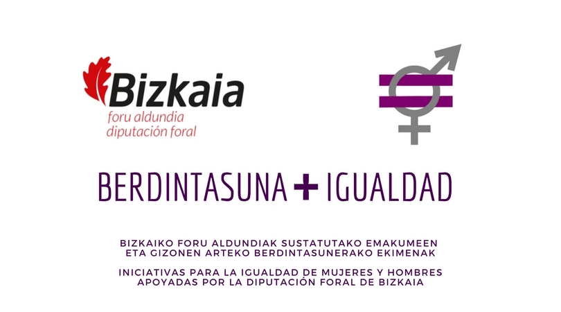 Logo Berdintasuna-Igualdad Bizkaia dfb