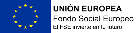 fse 2024-2027